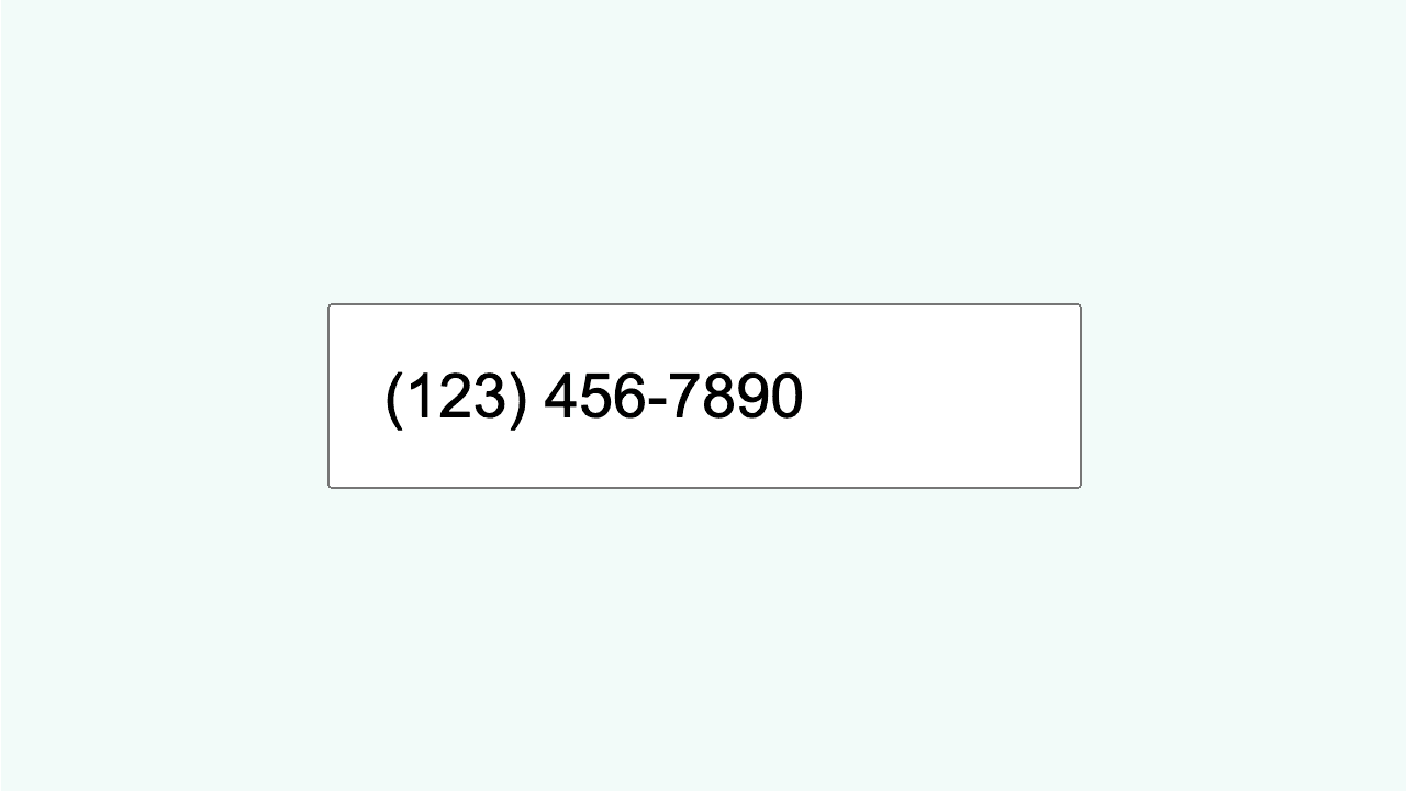 Phone Number Input example interface